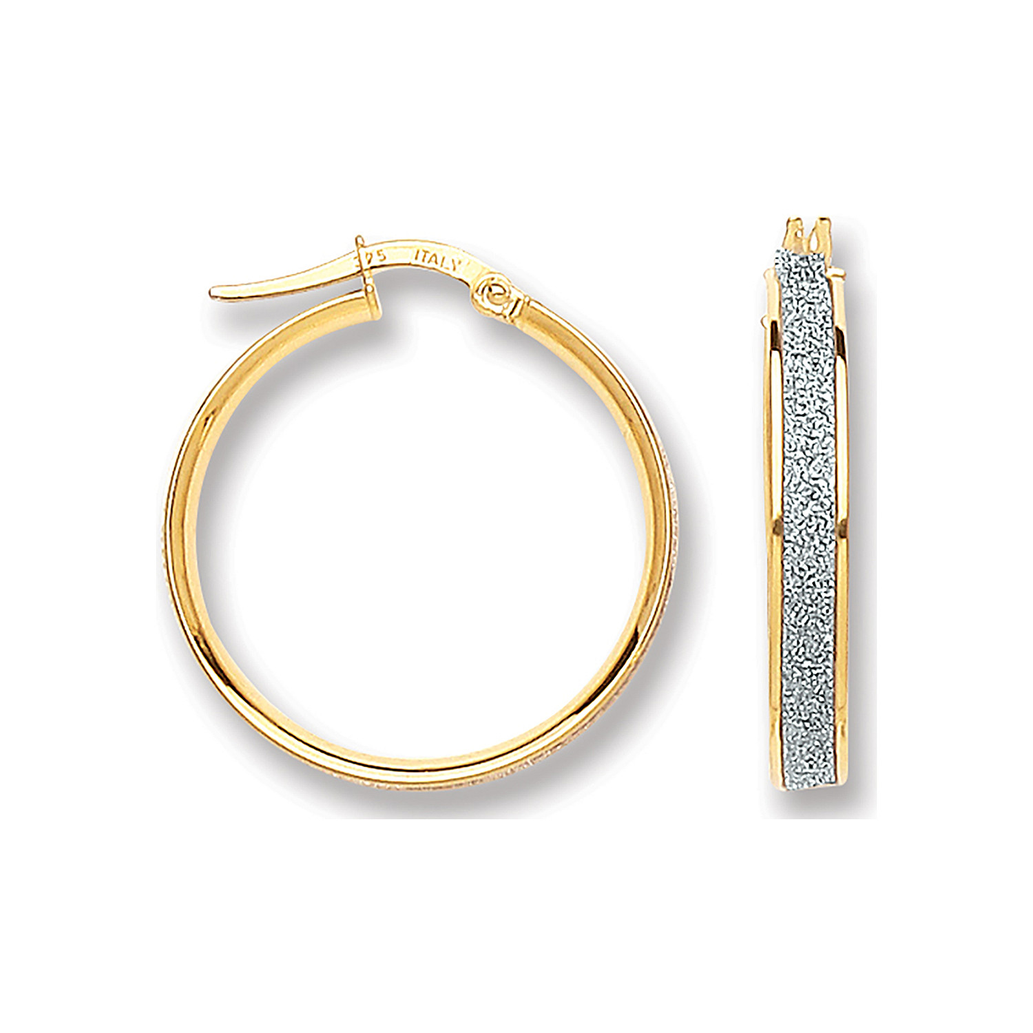 Gold Moon Dust Hoop Earrings ER1414