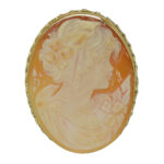 Shell Cameo Brooch-Pin VJ003